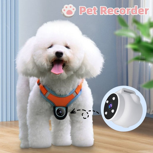 DomiPet Pet Tracker Collar with Motion-Activated 1080P Camera