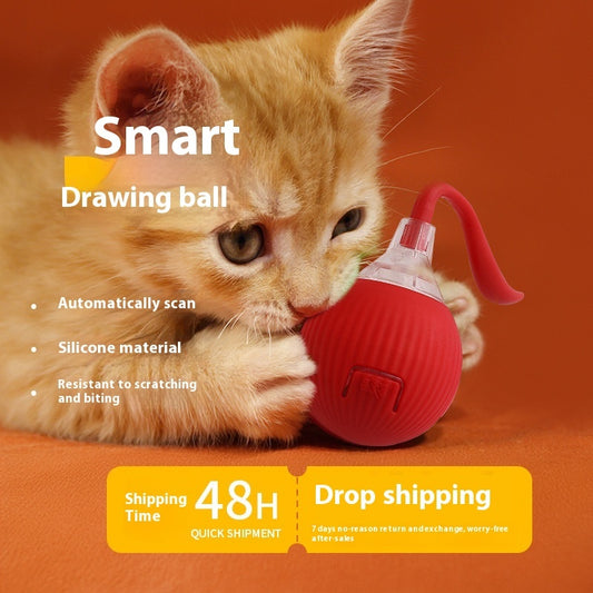DomiPet Interactive Rolling Cat Toy Ball