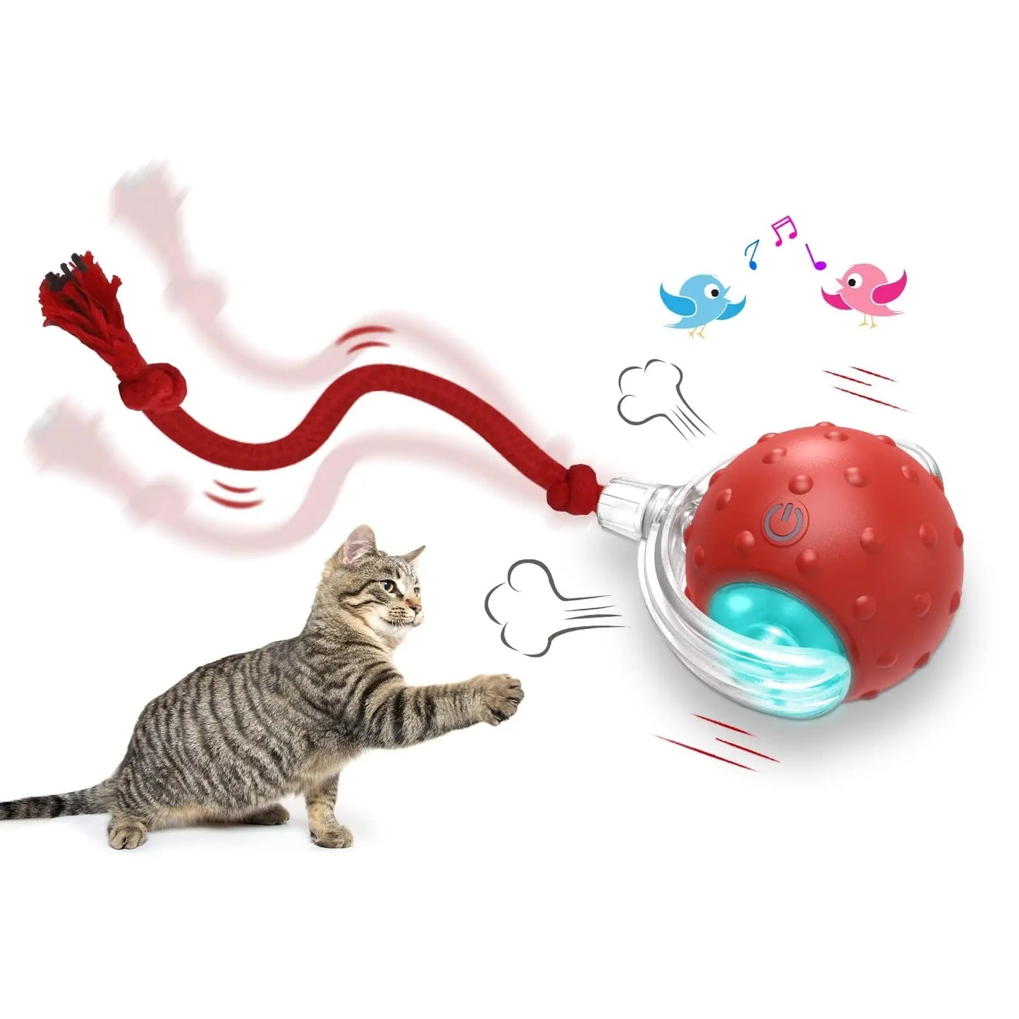 DomiPet Interactive Rolling Cat Toy Ball