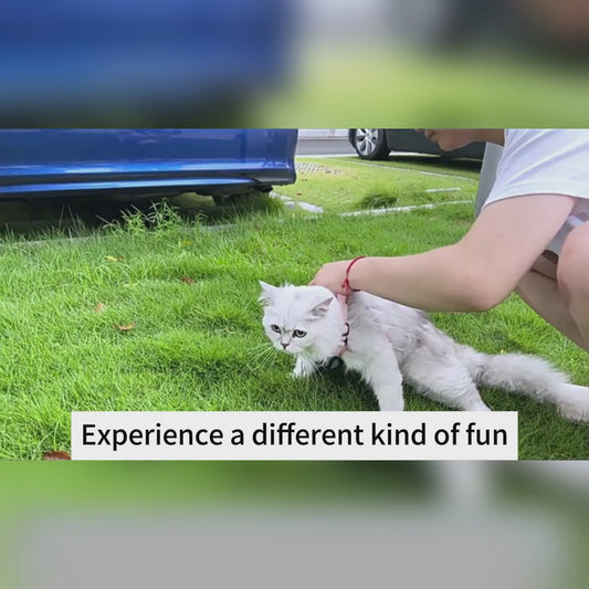 DomiPet Pet Tracker Collar with Motion-Activated 1080P Camera