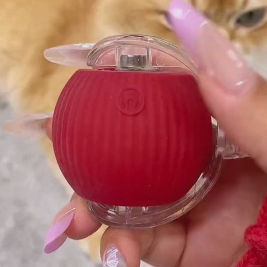 DomiPet Interactive Rolling Cat Toy Ball